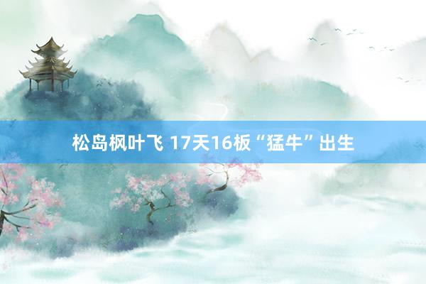 松岛枫叶飞 17天16板“猛牛”出生