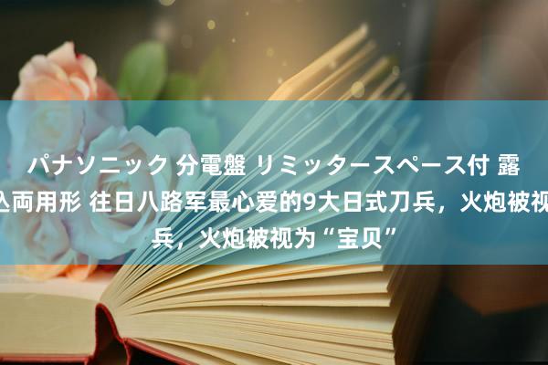 パナソニック 分電盤 リミッタースペース付 露出・半埋込両用形 往日八路军最心爱的9大日式刀兵，火炮被视为“宝贝”