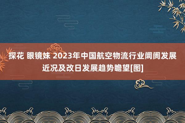 探花 眼镜妹 2023年中国航空物流行业阛阓发展近况及改日发展趋势瞻望[图]