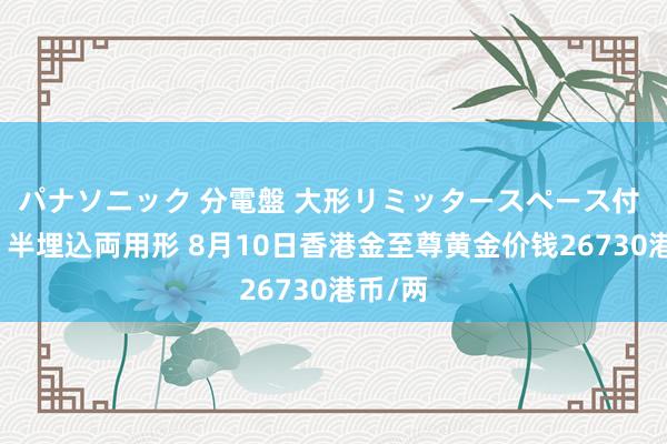 パナソニック 分電盤 大形リミッタースペース付 露出・半埋込両用形 8月10日香港金至尊黄金价钱26730港币/两