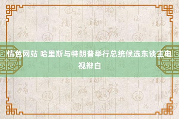 情色网站 哈里斯与特朗普举行总统候选东谈主电视辩白