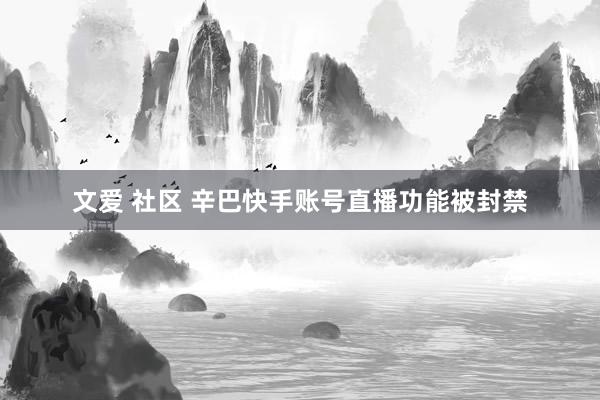 文爱 社区 辛巴快手账号直播功能被封禁