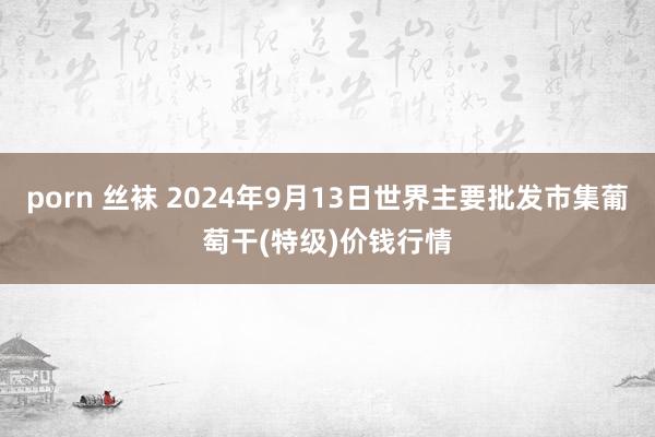 porn 丝袜 2024年9月13日世界主要批发市集葡萄干(特级)价钱行情