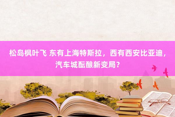 松岛枫叶飞 东有上海特斯拉，西有西安比亚迪，汽车城酝酿新变局？