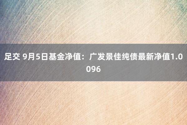 足交 9月5日基金净值：广发景佳纯债最新净值1.0096