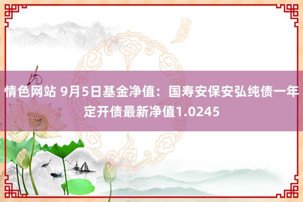 情色网站 9月5日基金净值：国寿安保安弘纯债一年定开债最新净值1.0245