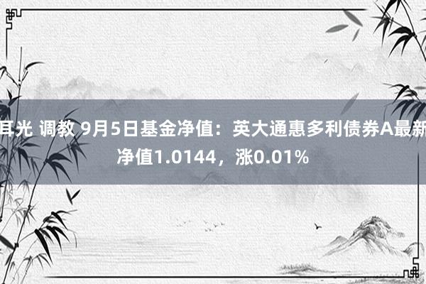 耳光 调教 9月5日基金净值：英大通惠多利债券A最新净值1.0144，涨0.01%