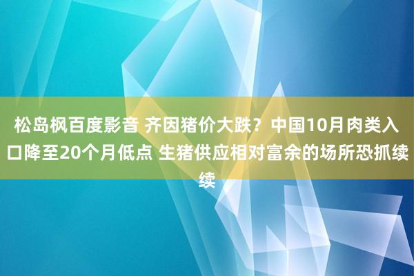 松岛枫百度影音 齐因猪价大跌？中国10月肉类入口降至20个月低点 生猪供应相对富余的场所恐抓续