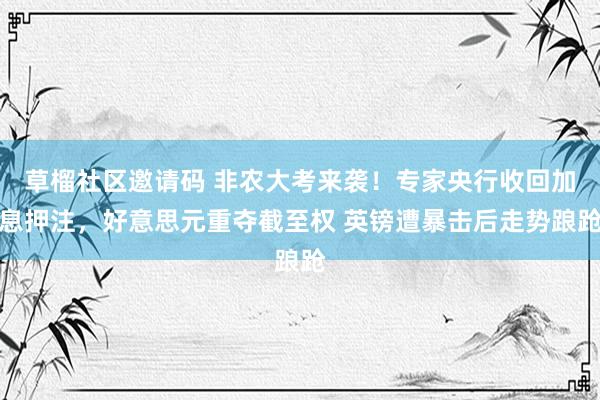 草榴社区邀请码 非农大考来袭！专家央行收回加息押注，好意思元重夺截至权 英镑遭暴击后走势踉跄