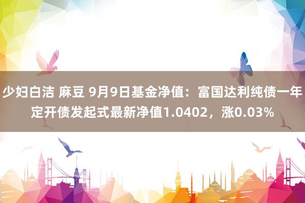 少妇白洁 麻豆 9月9日基金净值：富国达利纯债一年定开债发起式最新净值1.0402，涨0.03%