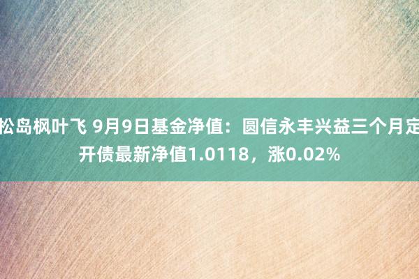 松岛枫叶飞 9月9日基金净值：圆信永丰兴益三个月定开债最新净值1.0118，涨0.02%