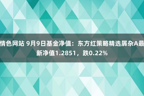 情色网站 9月9日基金净值：东方红策略精选羼杂A最新净值1.2851，跌0.22%