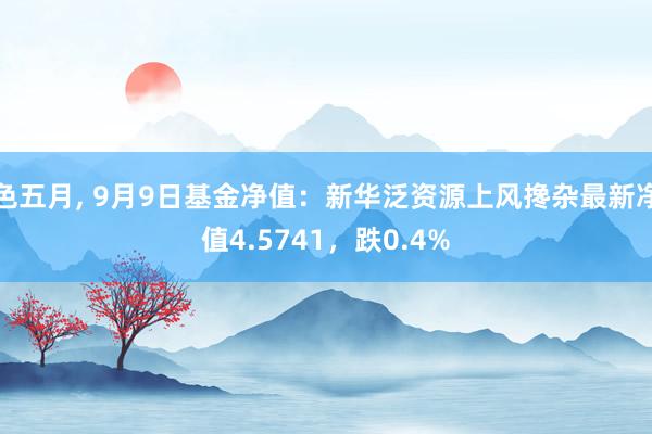 色五月， 9月9日基金净值：新华泛资源上风搀杂最新净值4.5741，跌0.4%