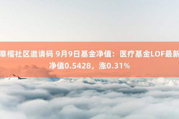 草榴社区邀请码 9月9日基金净值：医疗基金LOF最新净值0.5428，涨0.31%