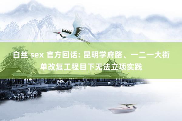 白丝 sex 官方回话: 昆明学府路、一二一大街单改复工程目下无法立项实践