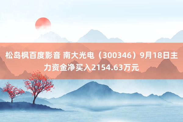 松岛枫百度影音 南大光电（300346）9月18日主力资金净买入2154.63万元