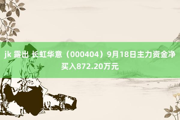 jk 露出 长虹华意（000404）9月18日主力资金净买入872.20万元