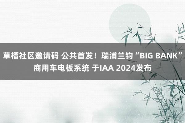 草榴社区邀请码 公共首发！瑞浦兰钧“BIG BANK”商用车电板系统 于IAA 2024发布