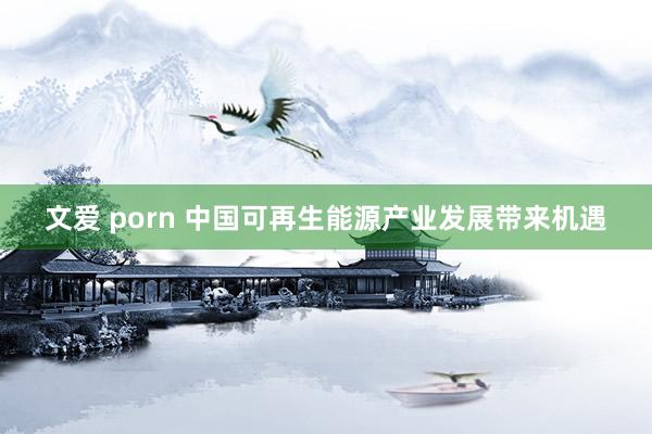 文爱 porn 中国可再生能源产业发展带来机遇