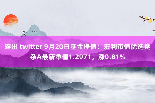 露出 twitter 9月20日基金净值：宏利市值优选搀杂A最新净值1.2971，涨0.81%