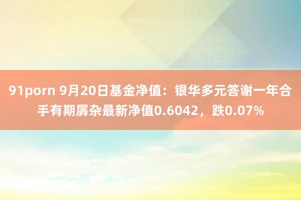 91porn 9月20日基金净值：银华多元答谢一年合手有期羼杂最新净值0.6042，跌0.07%