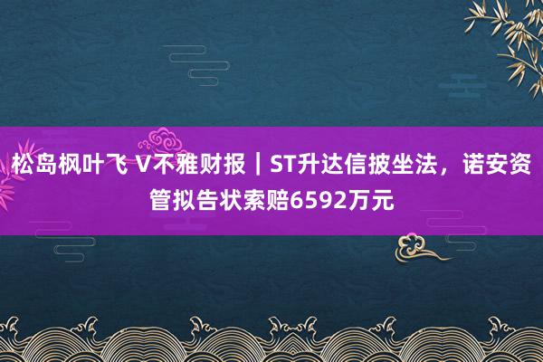 松岛枫叶飞 V不雅财报｜ST升达信披坐法，诺安资管拟告状索赔6592万元