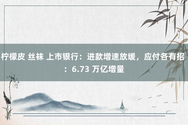 柠檬皮 丝袜 上市银行：进款增速放缓，应付各有招 ：6.73 万亿增量