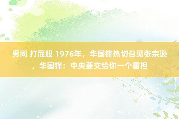 男同 打屁股 1976年，华国锋热切召见张宗逊，华国锋：中央要交给你一个重担