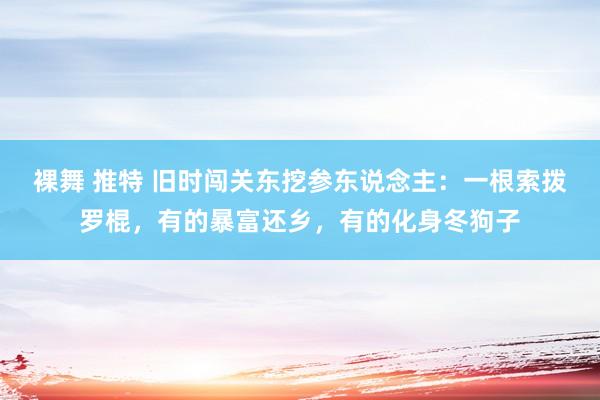 裸舞 推特 旧时闯关东挖参东说念主：一根索拨罗棍，有的暴富还乡，有的化身冬狗子