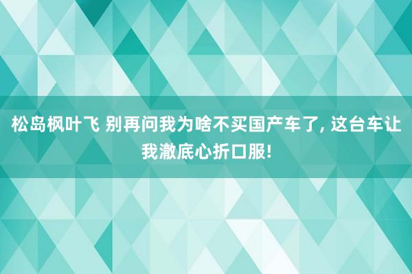 松岛枫叶飞 别再问我为啥不买国产车了， 这台车让我澈底心折口服!