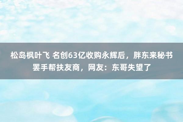 松岛枫叶飞 名创63亿收购永辉后，胖东来秘书罢手帮扶友商，网友：东哥失望了