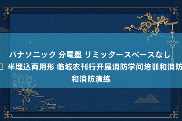 パナソニック 分電盤 リミッタースペースなし 露出・半埋込両用形 临城农刊行开展消防学问培训和消防演练