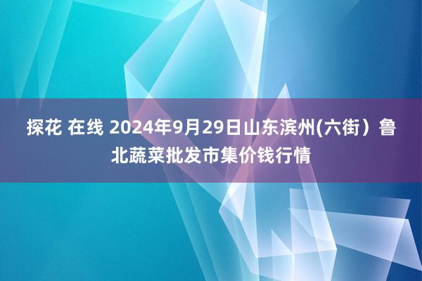 探花 在线 2024年9月29日山东滨州(六街）鲁北蔬菜批发市集价钱行情