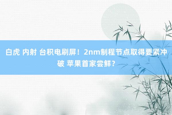 白虎 内射 台积电刷屏！2nm制程节点取得要紧冲破 苹果首家尝鲜？