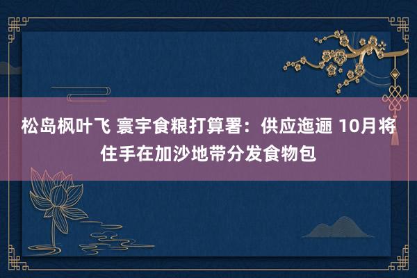 松岛枫叶飞 寰宇食粮打算署：供应迤逦 10月将住手在加沙地带分发食物包