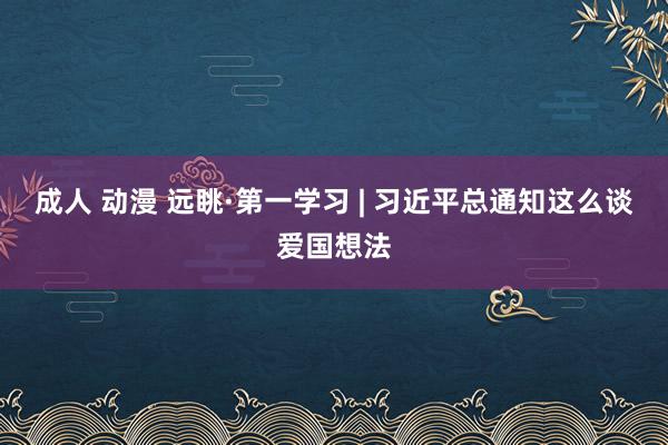 成人 动漫 远眺·第一学习 | 习近平总通知这么谈爱国想法