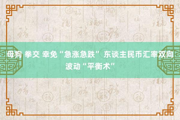 母狗 拳交 幸免“急涨急跌” 东谈主民币汇率双向波动“平衡术”