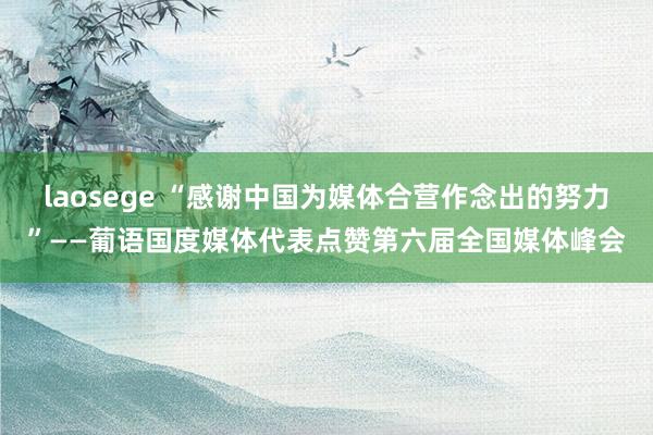 laosege “感谢中国为媒体合营作念出的努力”——葡语国度媒体代表点赞第六届全国媒体峰会