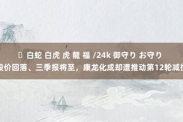 ✨白蛇 白虎 虎 龍 福 /24k 御守り お守り 股价回落、三季报将至，康龙化成却遭推动第12轮减捏