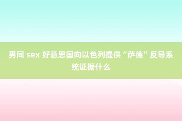 男同 sex 好意思国向以色列提供“萨德”反导系统证据什么