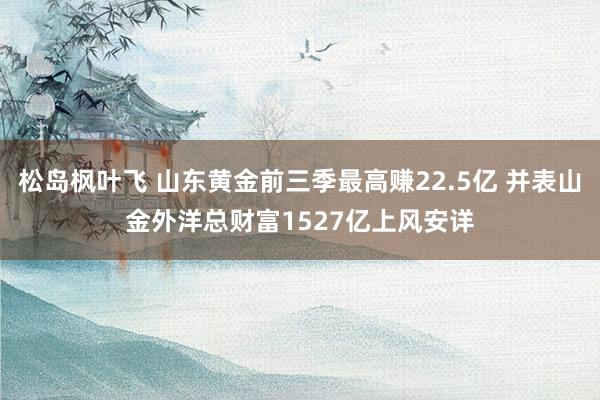 松岛枫叶飞 山东黄金前三季最高赚22.5亿 并表山金外洋总财富1527亿上风安详