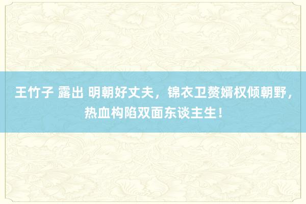 王竹子 露出 明朝好丈夫，锦衣卫赘婿权倾朝野，热血构陷双面东谈主生！