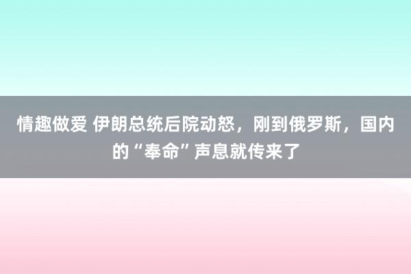 情趣做爱 伊朗总统后院动怒，刚到俄罗斯，国内的“奉命”声息就传来了