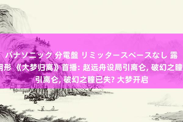 パナソニック 分電盤 リミッタースペースなし 露出・半埋込両用形 《大梦归离》首播: 赵远舟设局引离仑， 破幻之瞳已失? 大梦开启