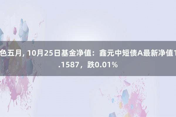 色五月， 10月25日基金净值：鑫元中短债A最新净值1.1587，跌0.01%