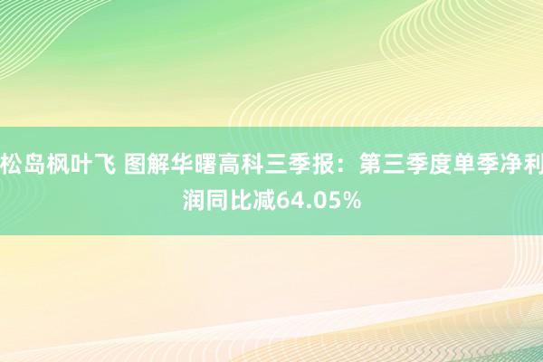 松岛枫叶飞 图解华曙高科三季报：第三季度单季净利润同比减64.05%