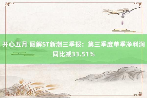 开心五月 图解ST新潮三季报：第三季度单季净利润同比减33.51%