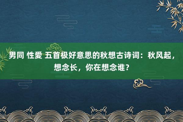 男同 性愛 五首极好意思的秋想古诗词：秋风起，想念长，你在想念谁？