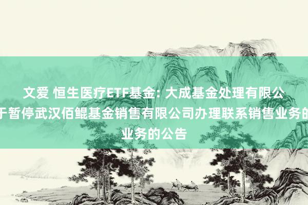 文爱 恒生医疗ETF基金: 大成基金处理有限公司对于暂停武汉佰鲲基金销售有限公司办理联系销售业务的公告