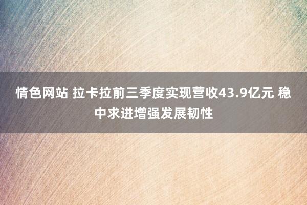 情色网站 拉卡拉前三季度实现营收43.9亿元 稳中求进增强发展韧性